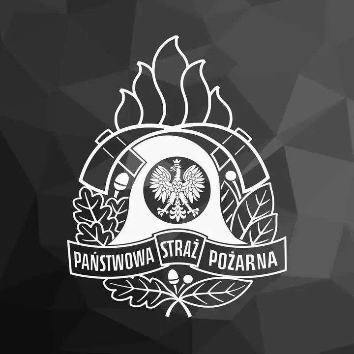 Kwidzyn: zakończyły się ćwiczenia służb na terenie zakładu MM Kwidzyn
